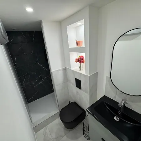 Petit Boudoir Lyonnais Neuf Terrasse Climatise Vénissieux