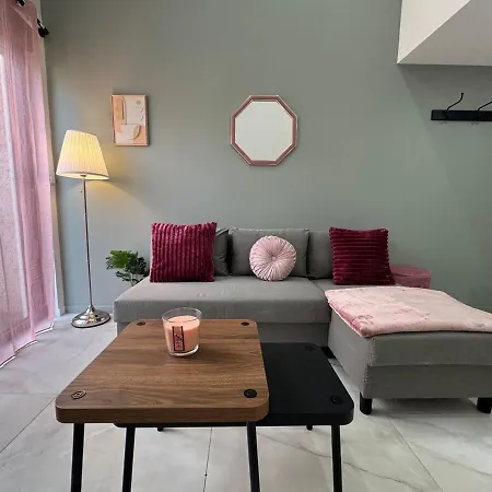 Petit Boudoir Lyonnais Neuf Terrasse Climatise Vénissieux