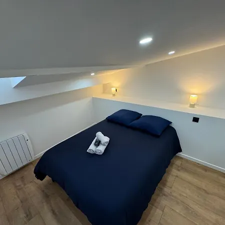Petit Boudoir Lyonnais Neuf Terrasse Climatise