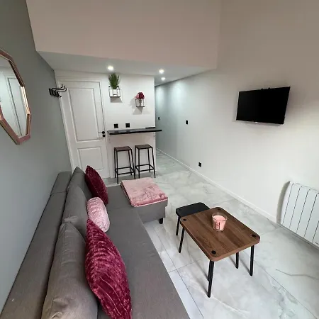 Petit Boudoir Lyonnais Neuf Terrasse Climatise * Vénissieux
