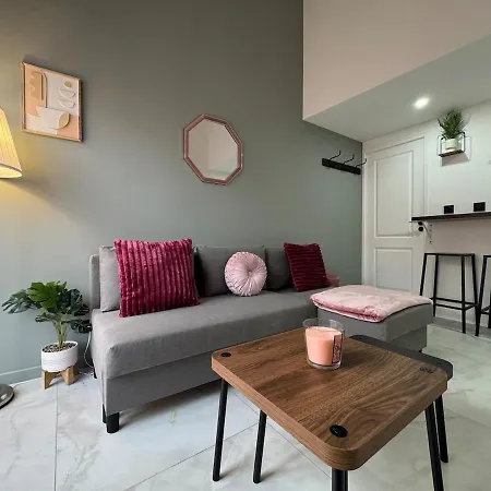 Petit Boudoir Lyonnais Neuf Terrasse Climatise Vénissieux