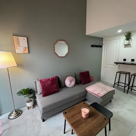 Сasa de vacaciones Petit Boudoir Lyonnais Neuf Terrasse Climatise *